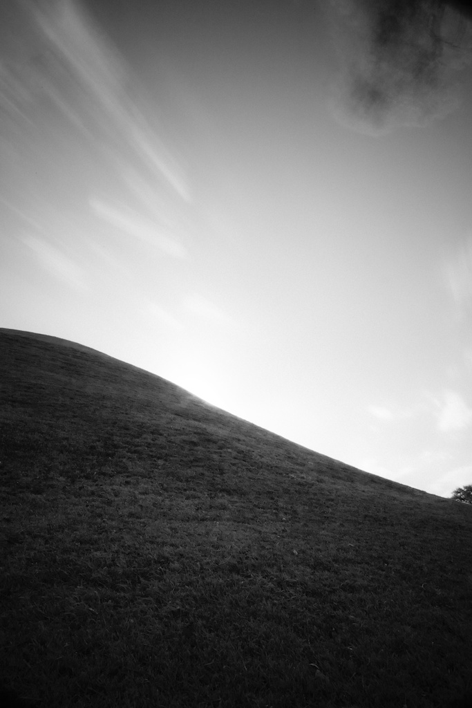 3. Just want to see, Pigment Print, 24x36inch, 2013-2014