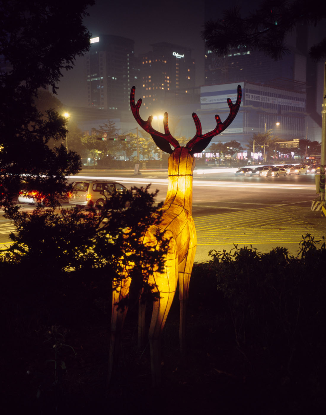 3. Plastic Eye, Lamda Print, 120x170cm, 2010