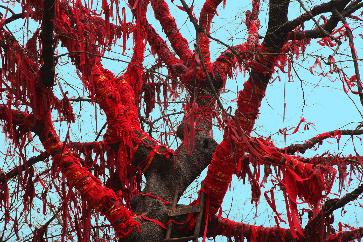 3. Wish is Sobbing bitterly, 150x100cm, 2014