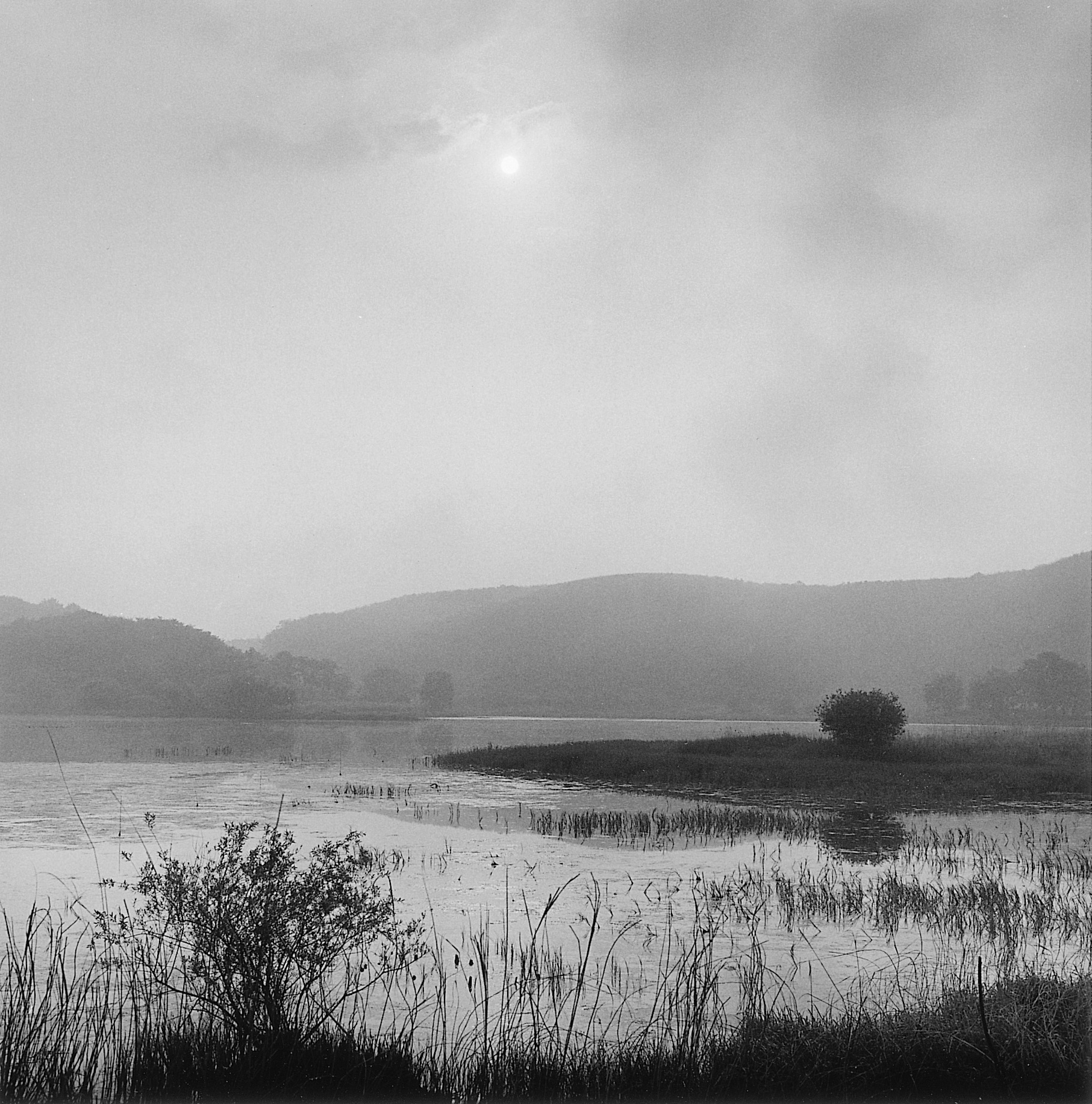 31. existence serise 2, Gelatin Silver Print, 16x20inch, 2005-2011