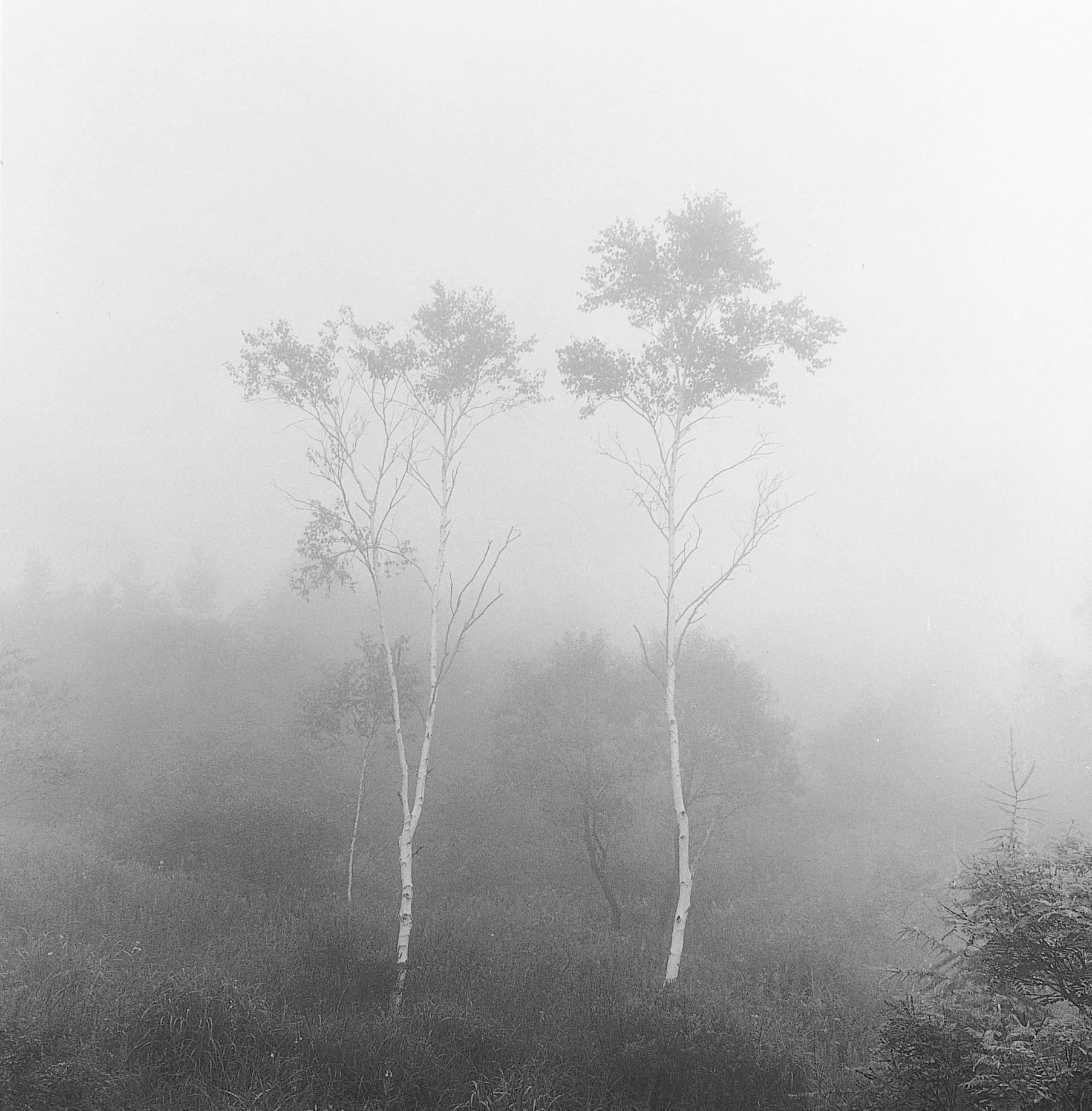 32. existence serise 2, Gelatin Silver Print, 16x20inch, 2005-2011