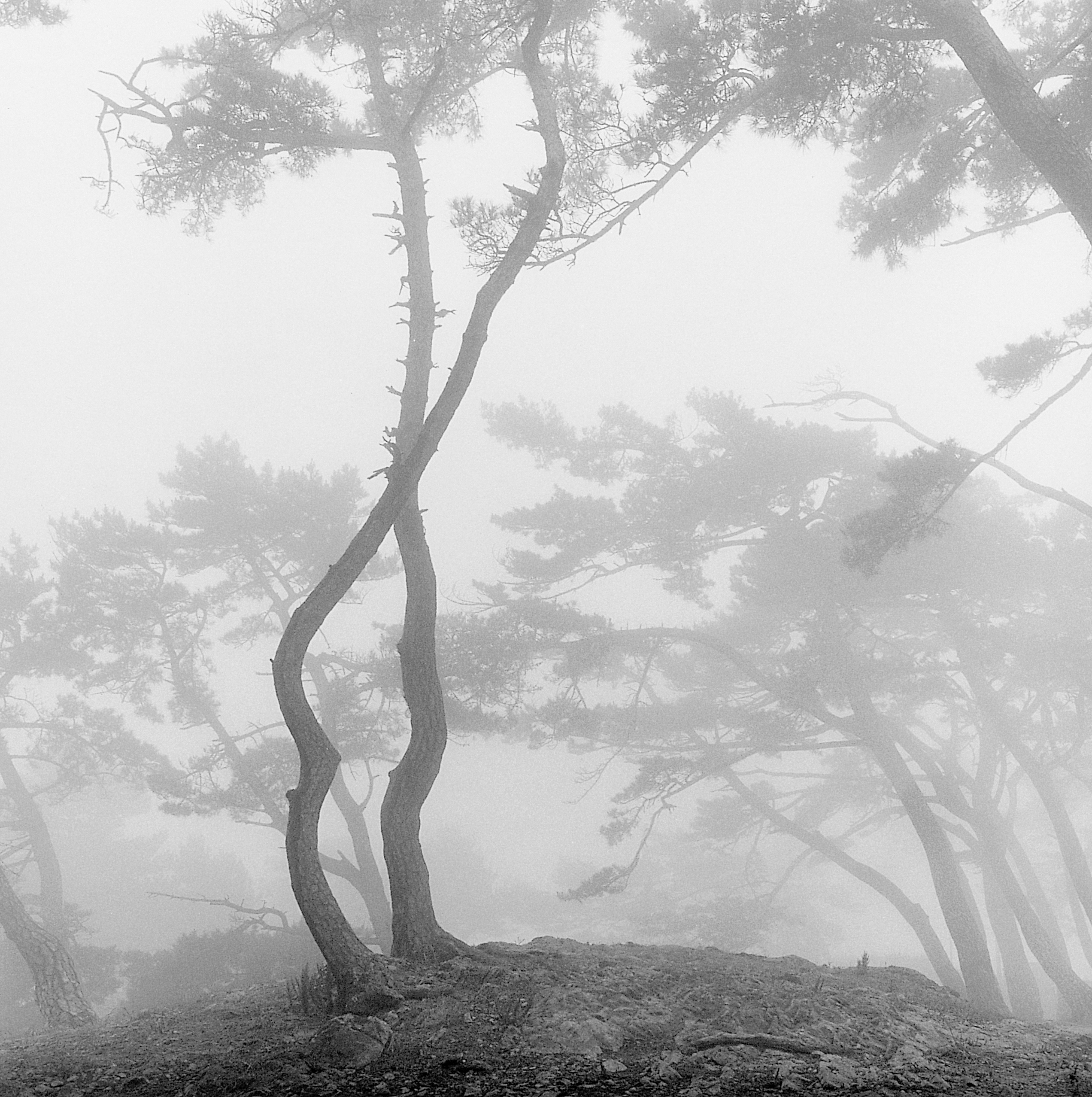 34. existence serise 2, Gelatin Silver Print, 16x20inch, 2005-2011