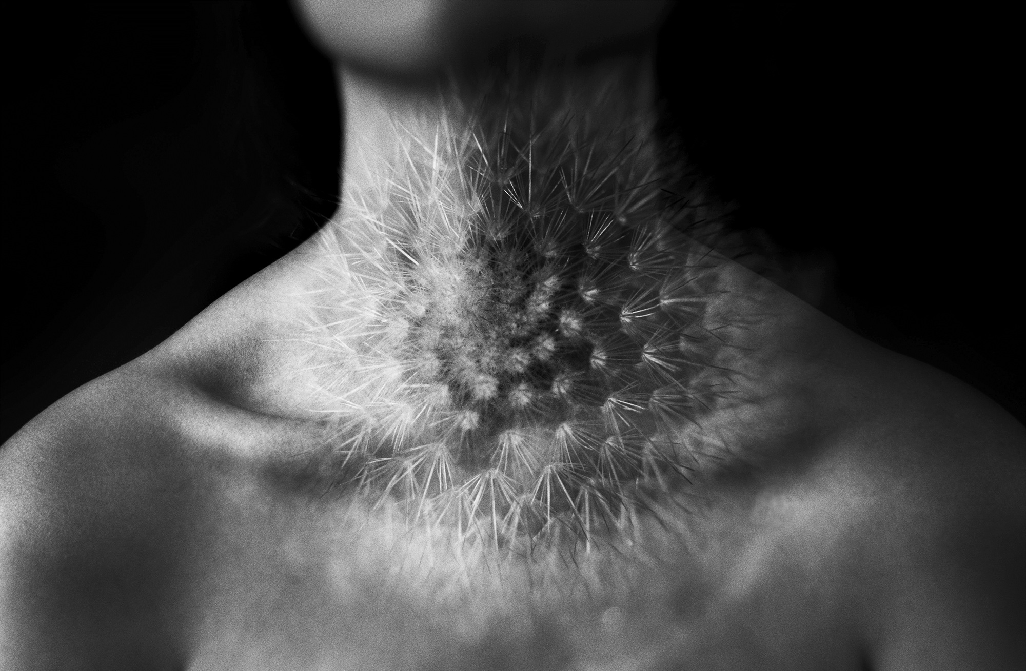 4-[Emotions is some pose]_pigment prin_2007