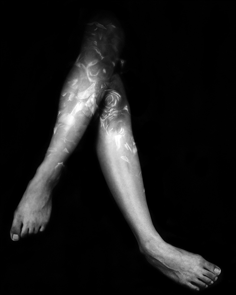 4-[FLOWOM]_pigment prin_40x50in_2008