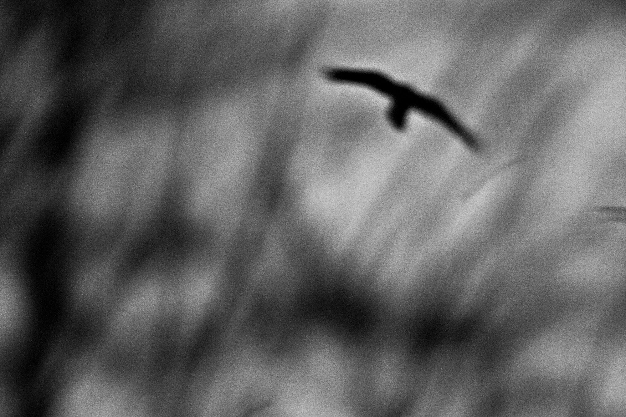 4. Life from Time-Space, 2014