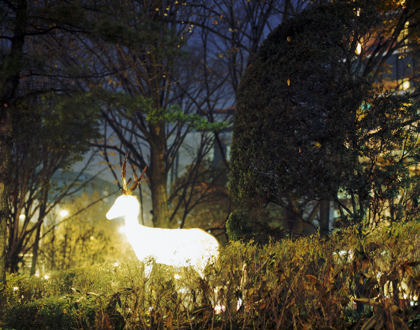 4. Plastic Eye, Lamda Print, 120x170cm, 2010