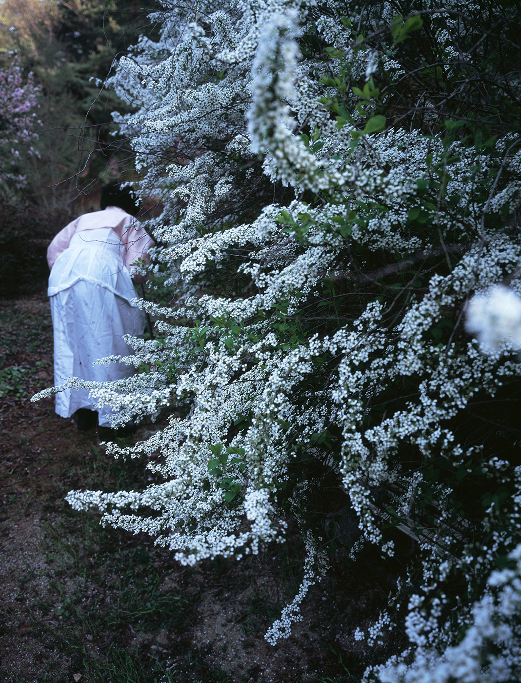 4. Wish is Sobbing bitterly, 150x100cm, 2014