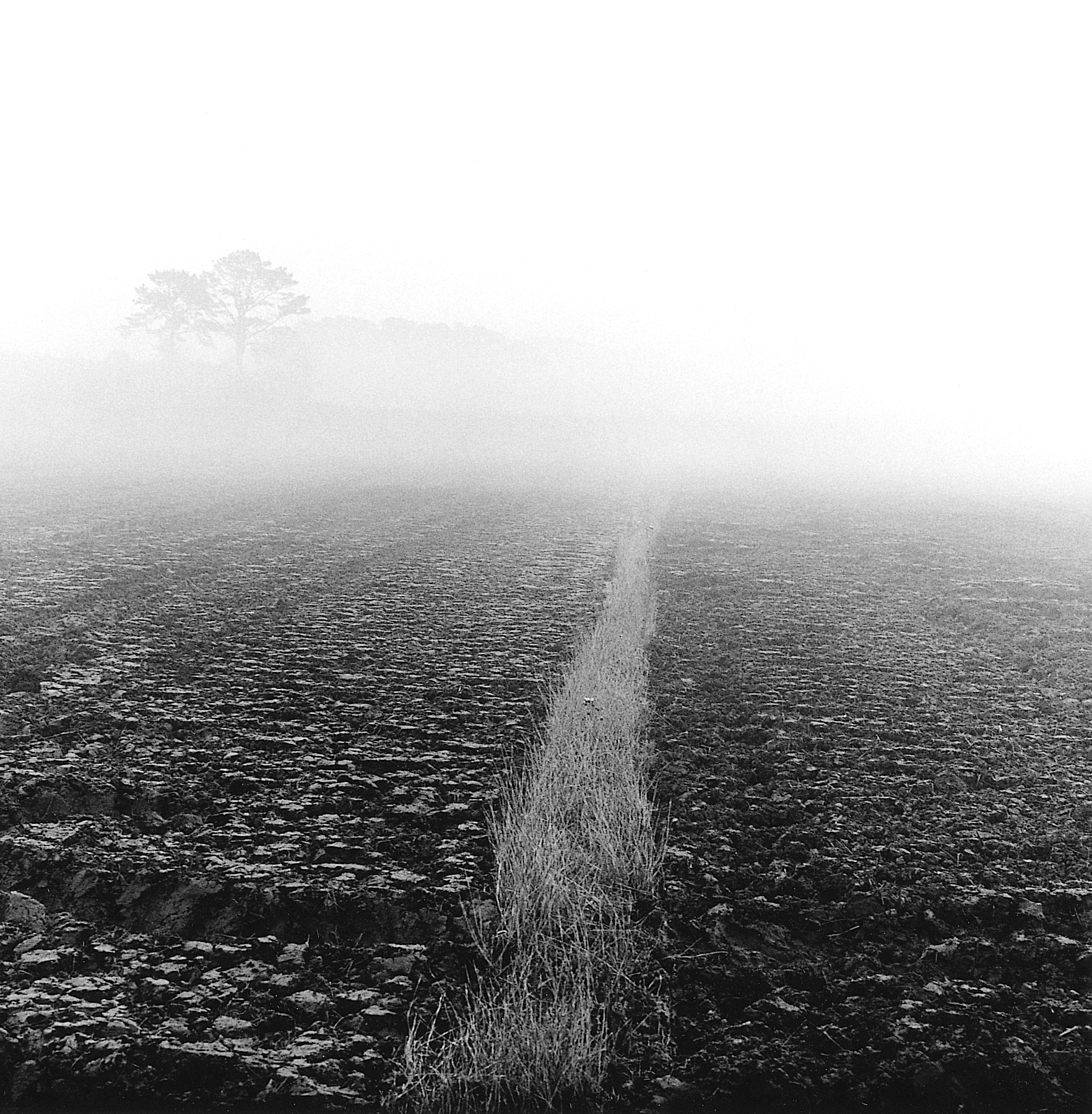 4. existence serise 2, Gelatin Silver Print, 16x20inch, 2005-2011