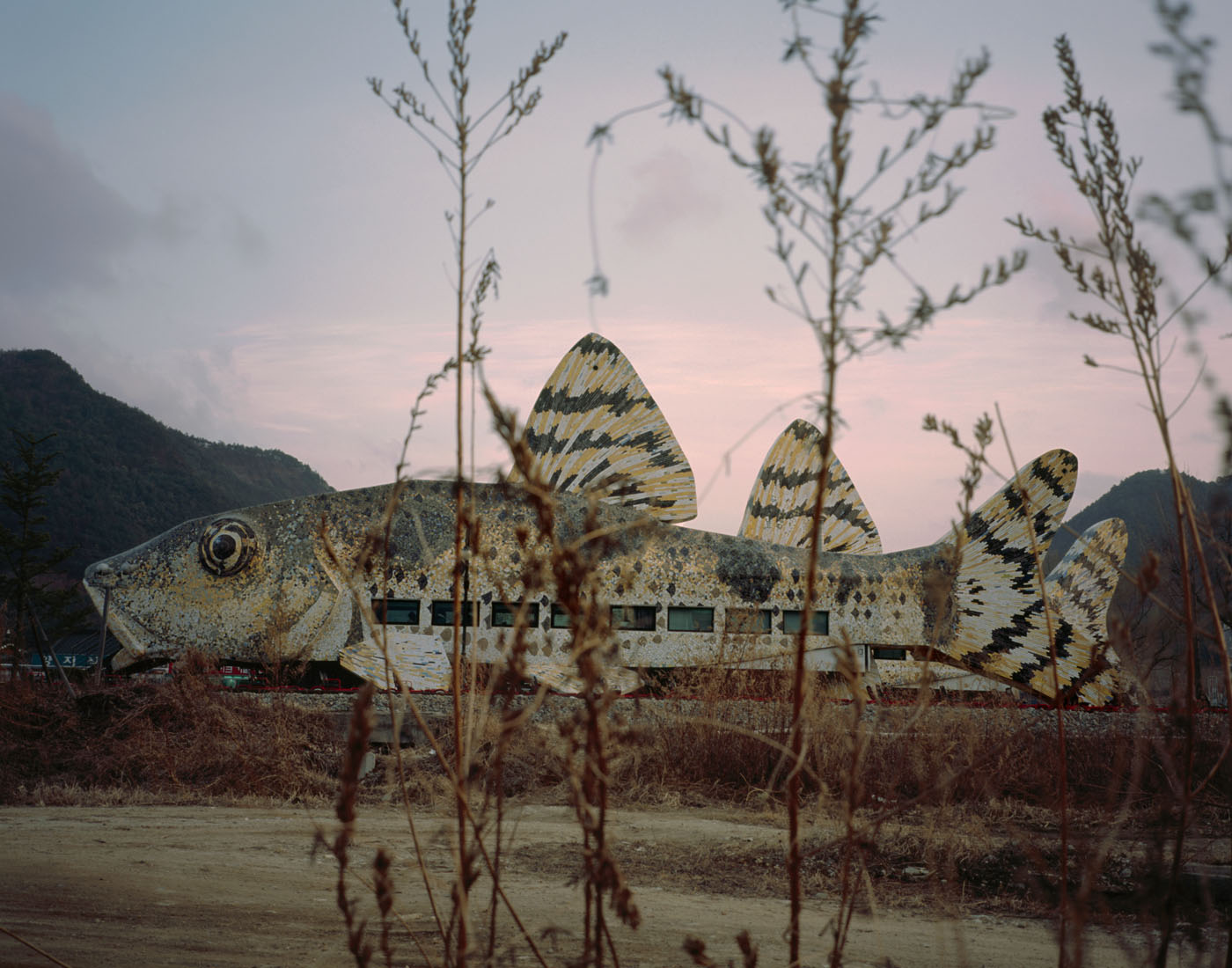 5. Plastic Eye, Lamda Print, 120x170cm, 2010