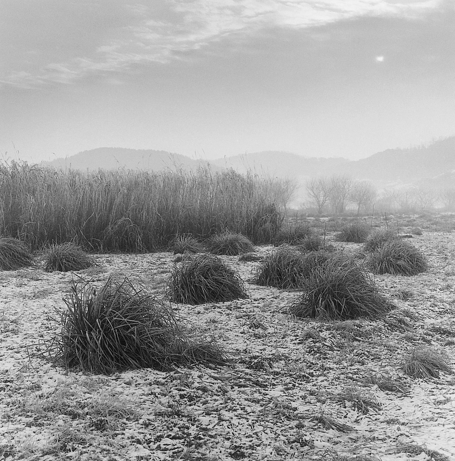 5. existence serise 2, Gelatin Silver Print, 16x20inch, 2005-2011