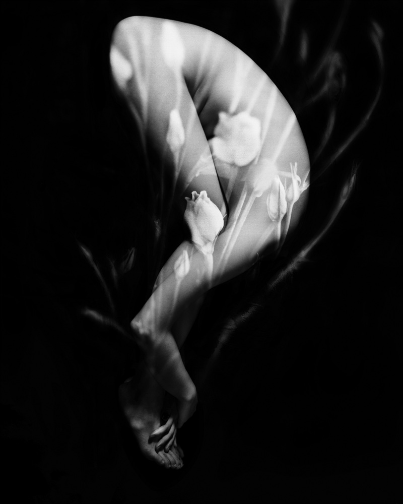 6-[FLOWOM]_pigment prin_40x50in_2008