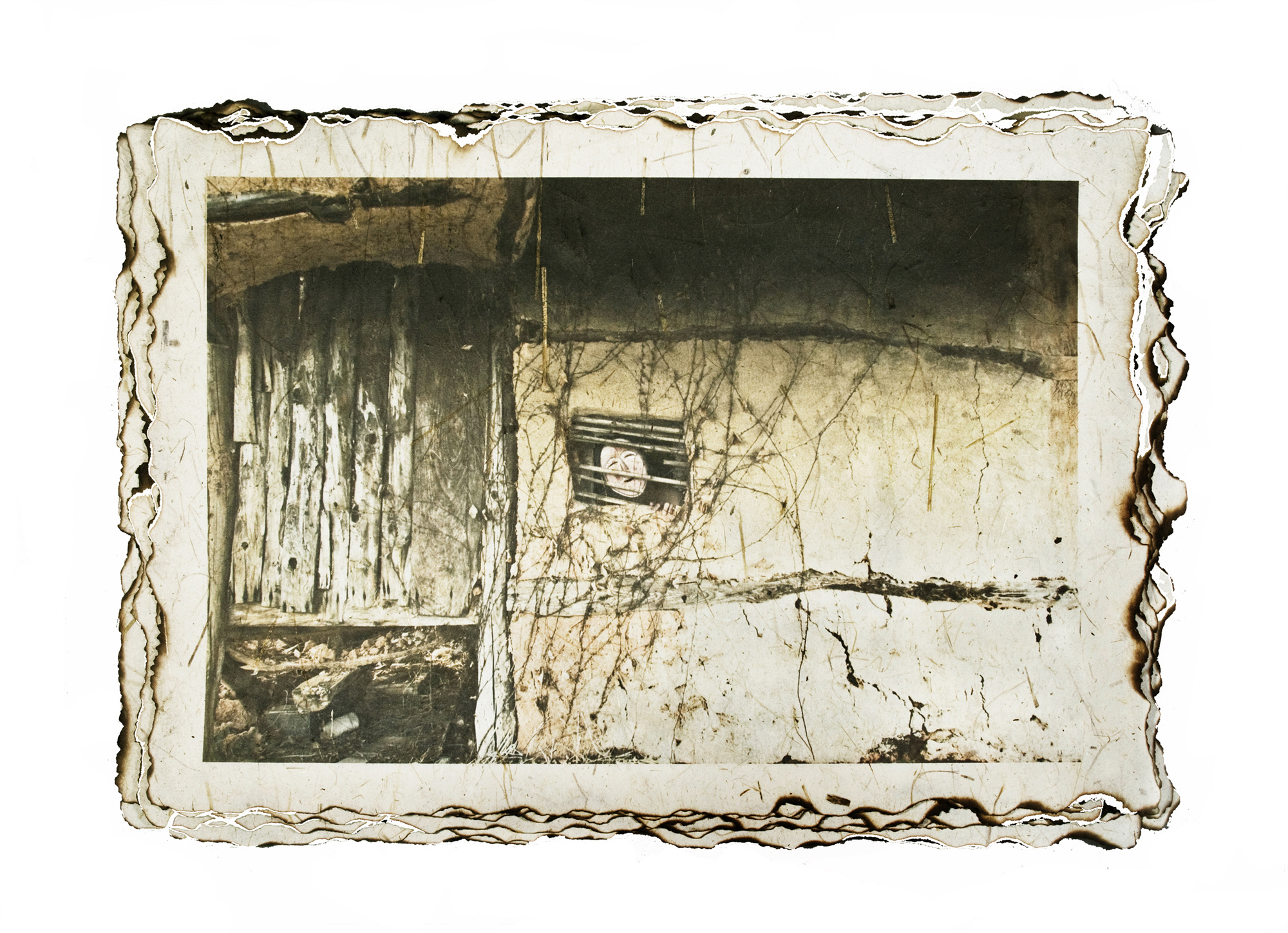 6-[脫;脫]_hanji,pigment prin_40x60in_2009