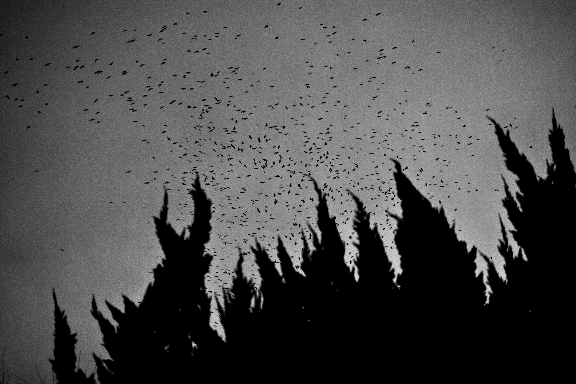 6. Life from Time-Space, 2014