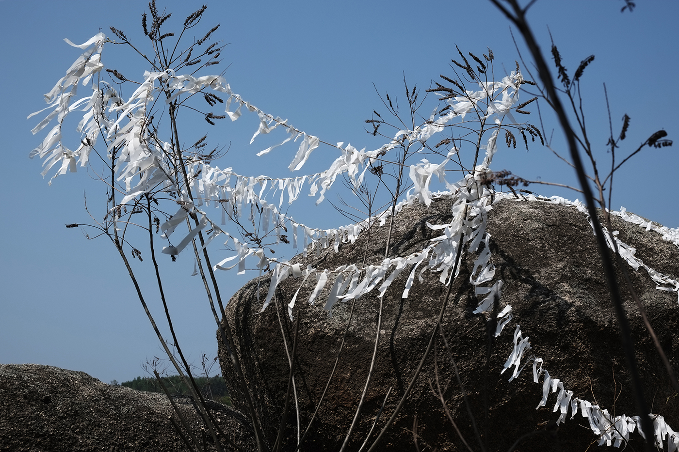 6. Wish is Sobbing bitterly, 150x100cm, 2014