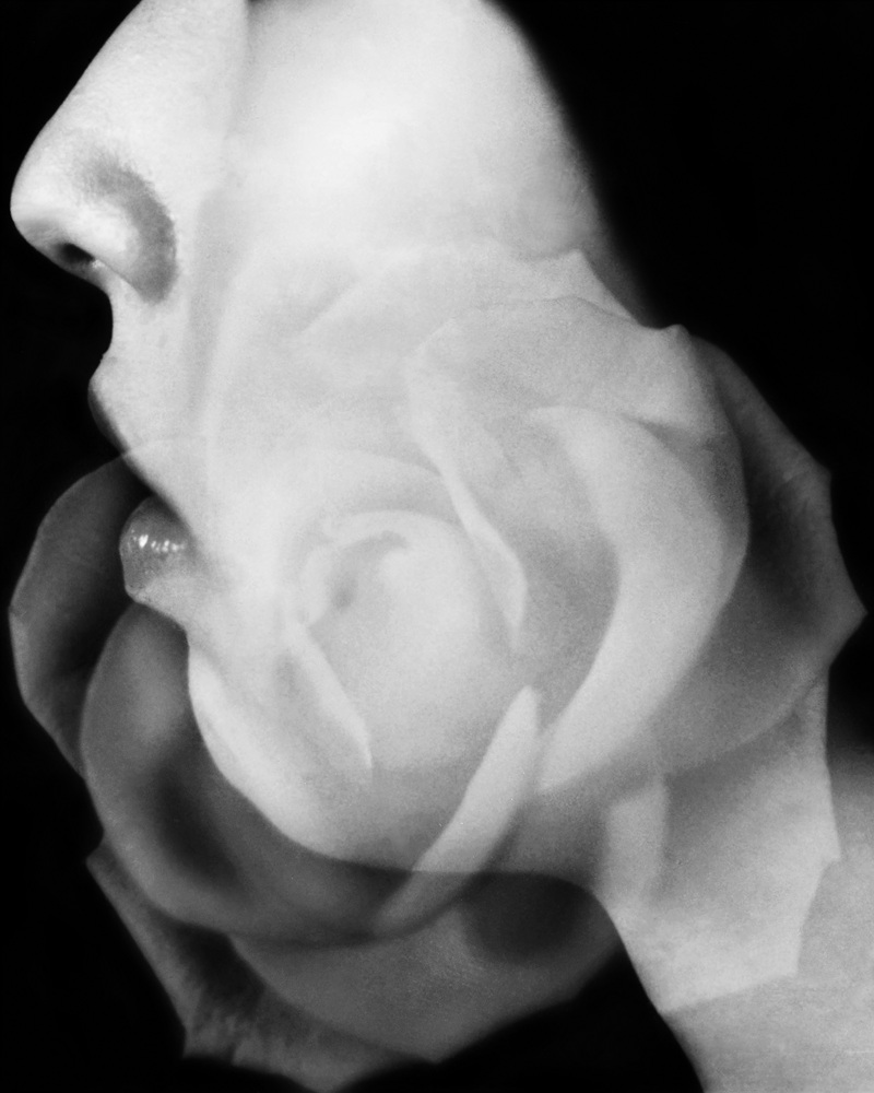 7-[FLOWOM]_pigment prin_40x50in_2008