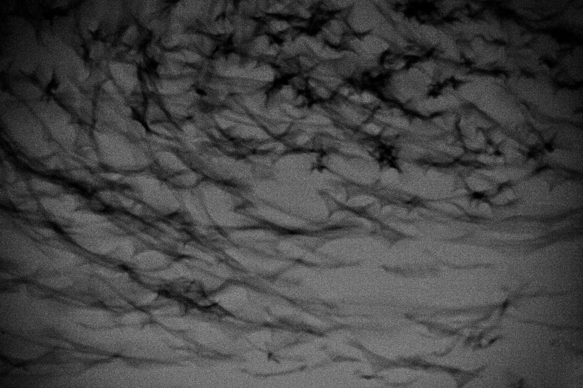 7. Life from Time-Space, 2014