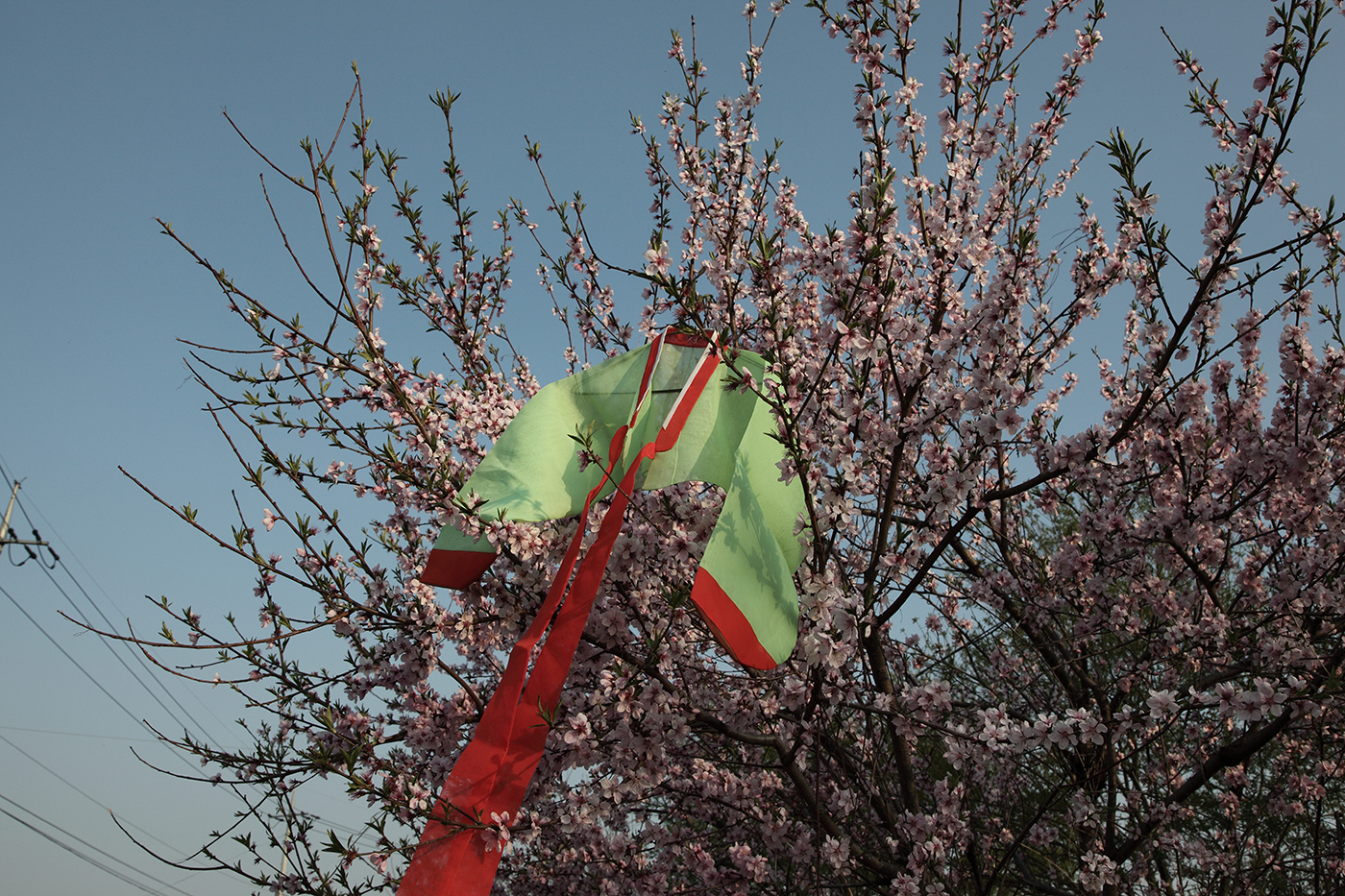 7. Wish is Sobbing bitterly, 150x100cm, 2014