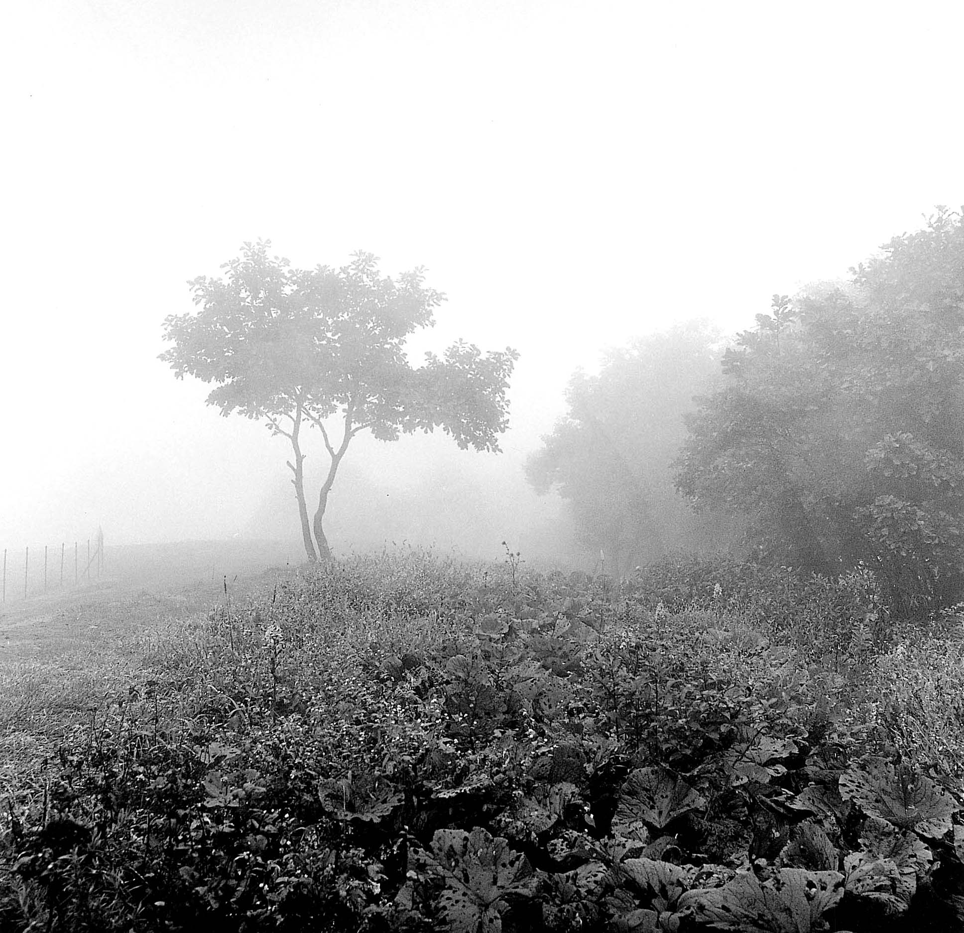 7. existence serise 2, Gelatin Silver Print, 16x20inch, 2005-2011