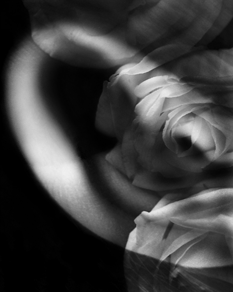 8-[FLOWOM]_pigment prin_40x50in_2008