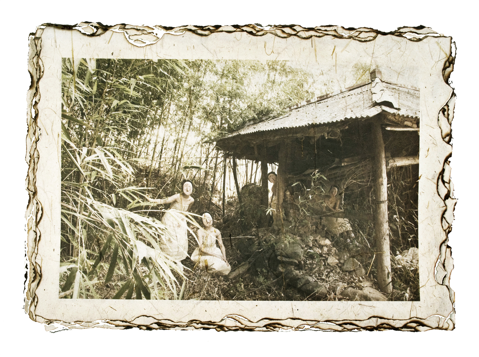 8-[脫;脫]_hanji,pigment prin_40x60in_2009