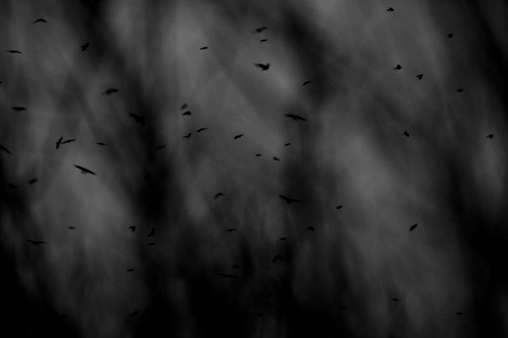 8. Life from Time-Space, 2014