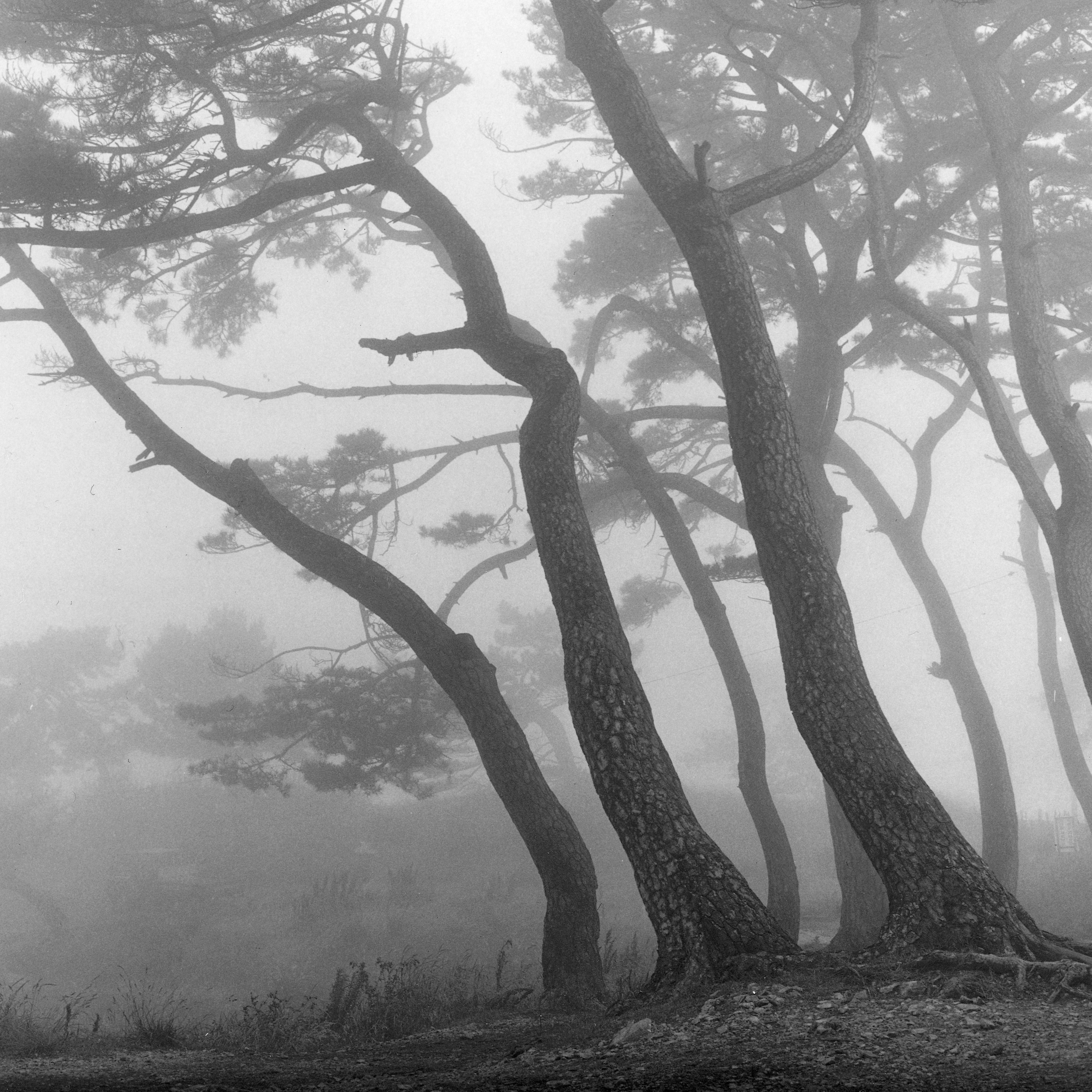 8. existence serise 2, Gelatin Silver Print, 16x20inch, 2005-2011