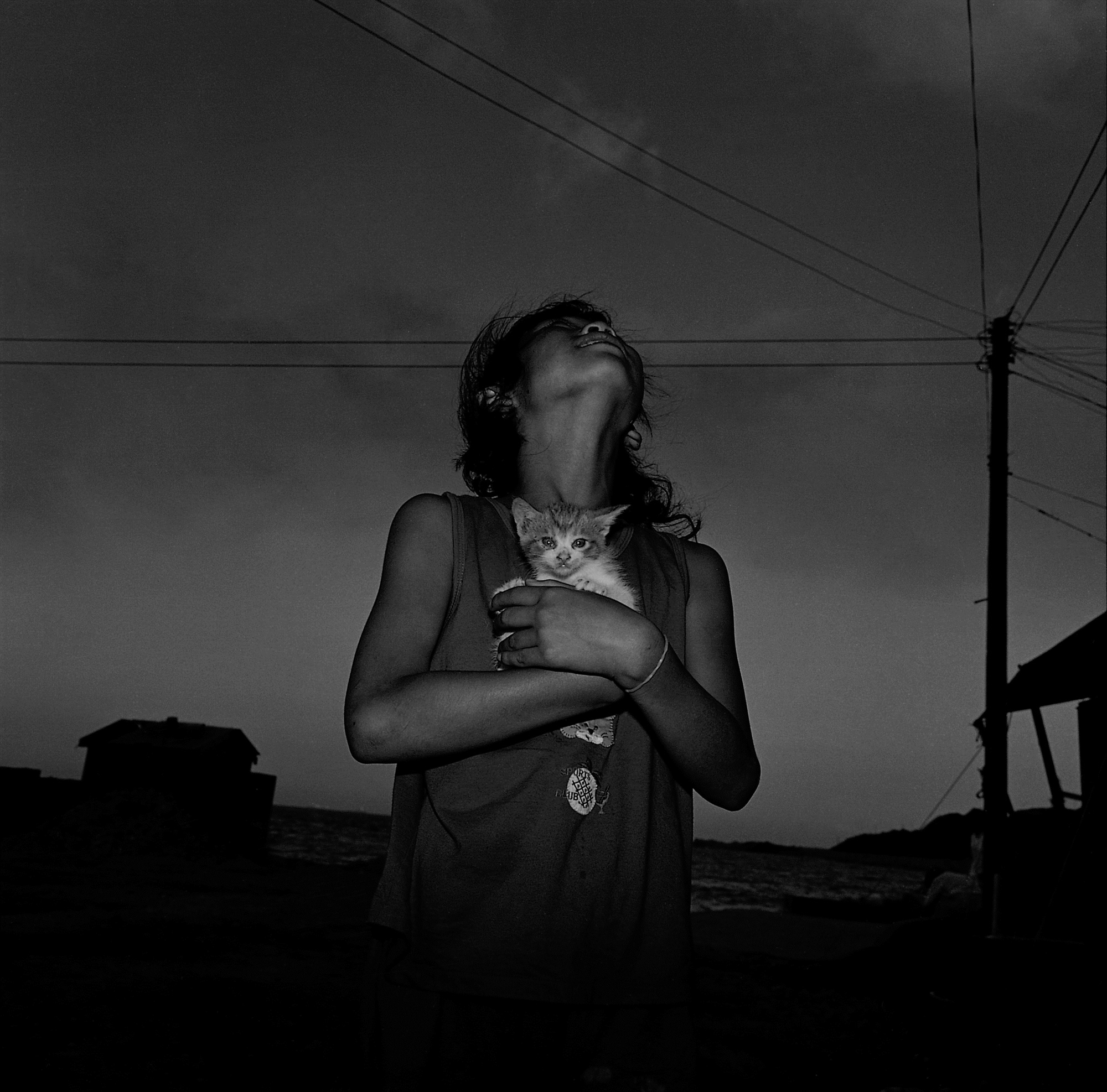 8. 고양이, 울산, Gelatin Silver Print, 100x100, 1998