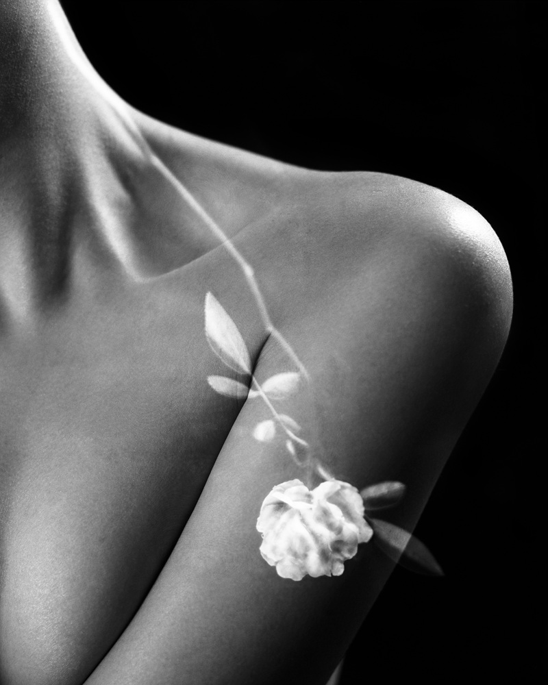 9-[FLOWOM]_pigment prin_40x50in_2008