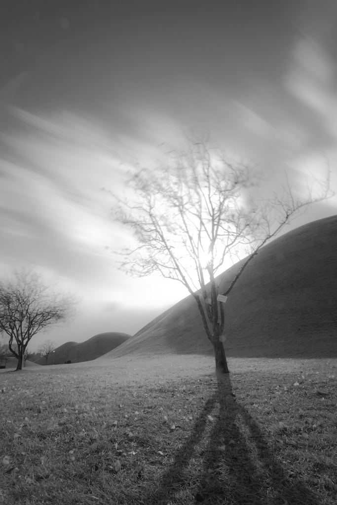 9. Just want to see, Pigment Print, 24x36inch, 2013-2014