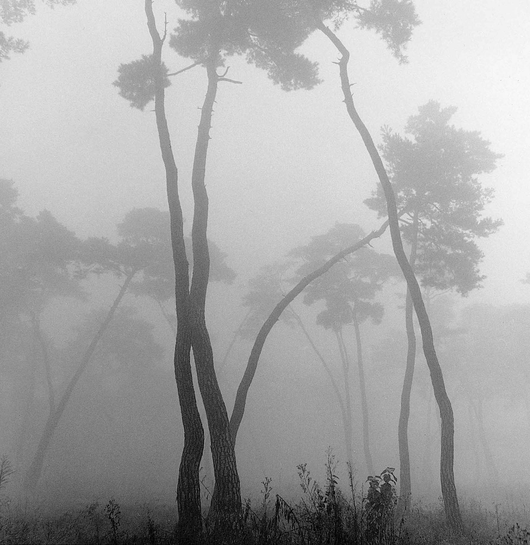 9. existence serise 2, Gelatin Silver Print, 16x20inch, 2005-2011