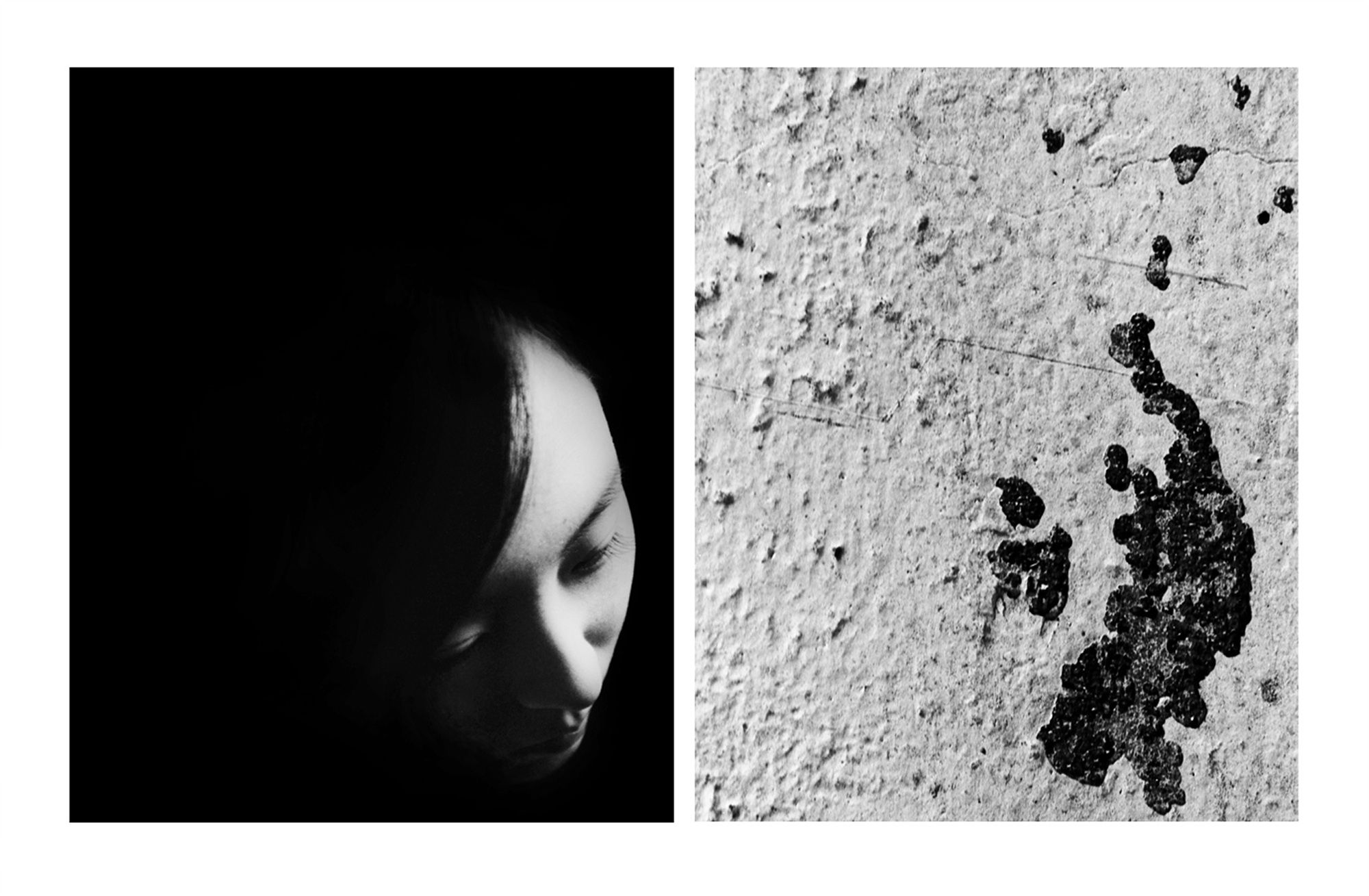 B02- blossom_pigment print_2005