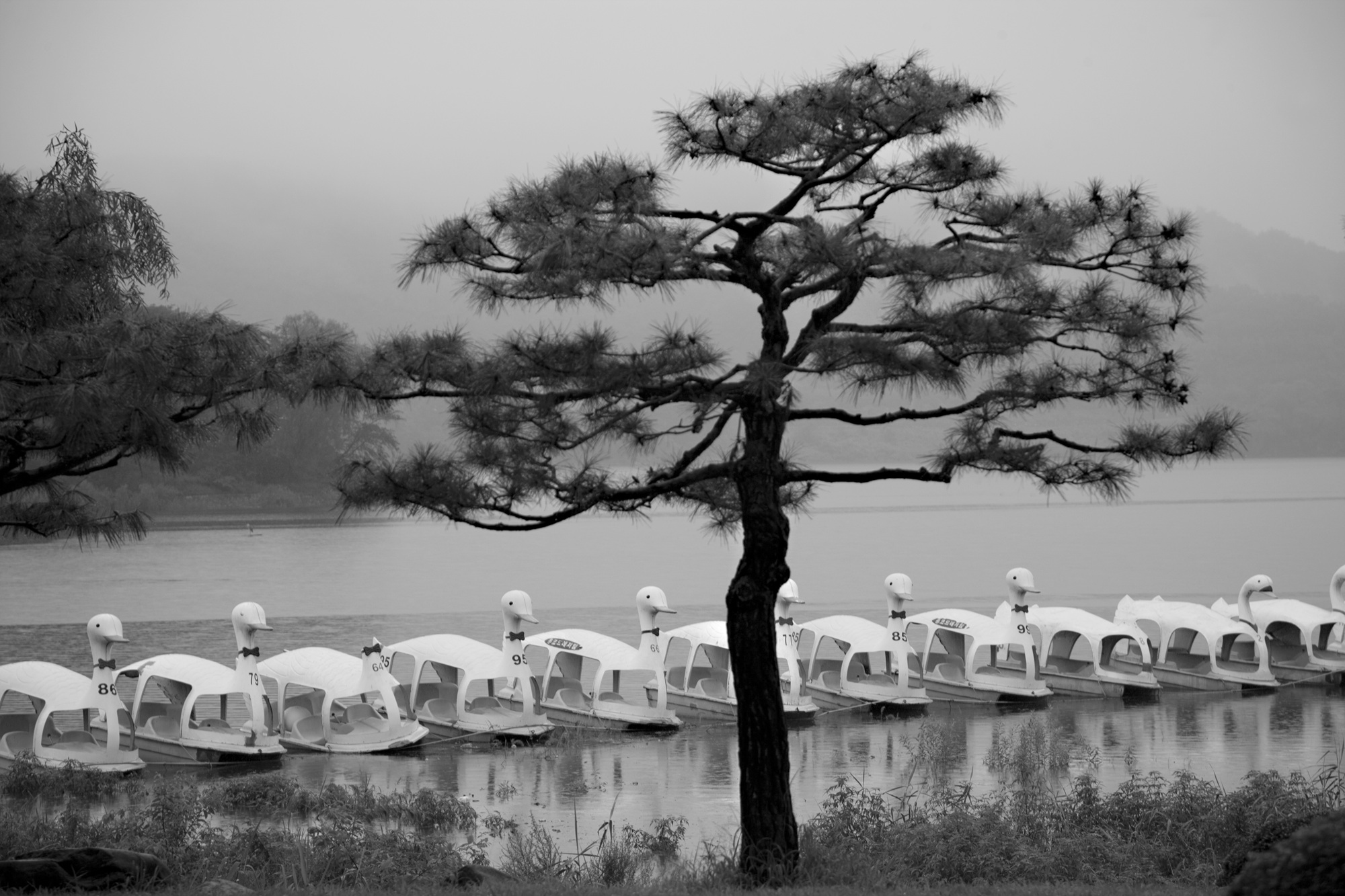 Bomun Lake_ Gyeongju_ 2013_ Lu ZHANG