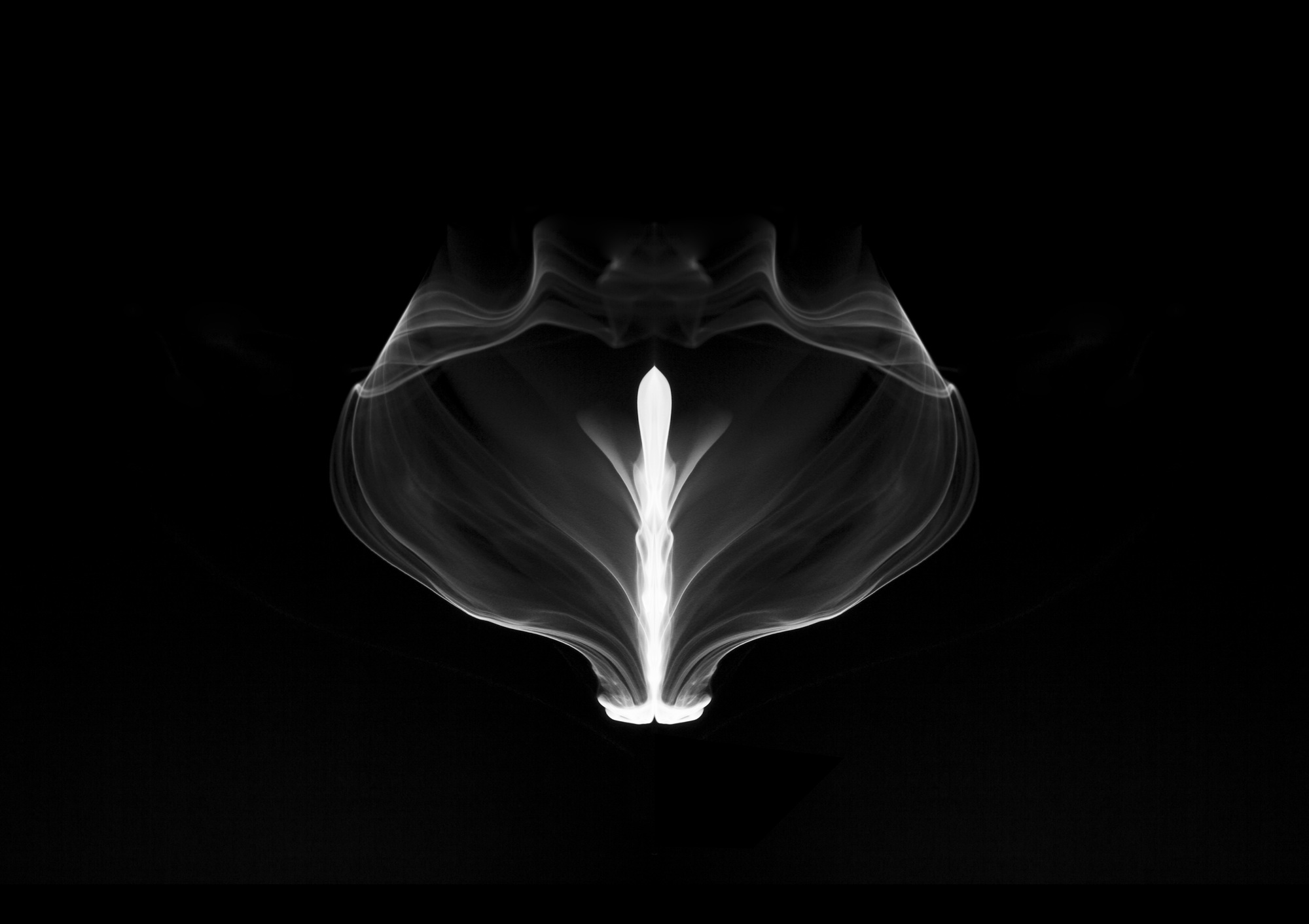Bud01, 85x60cm, Ultrachrome Archival Pigment Print, 2014