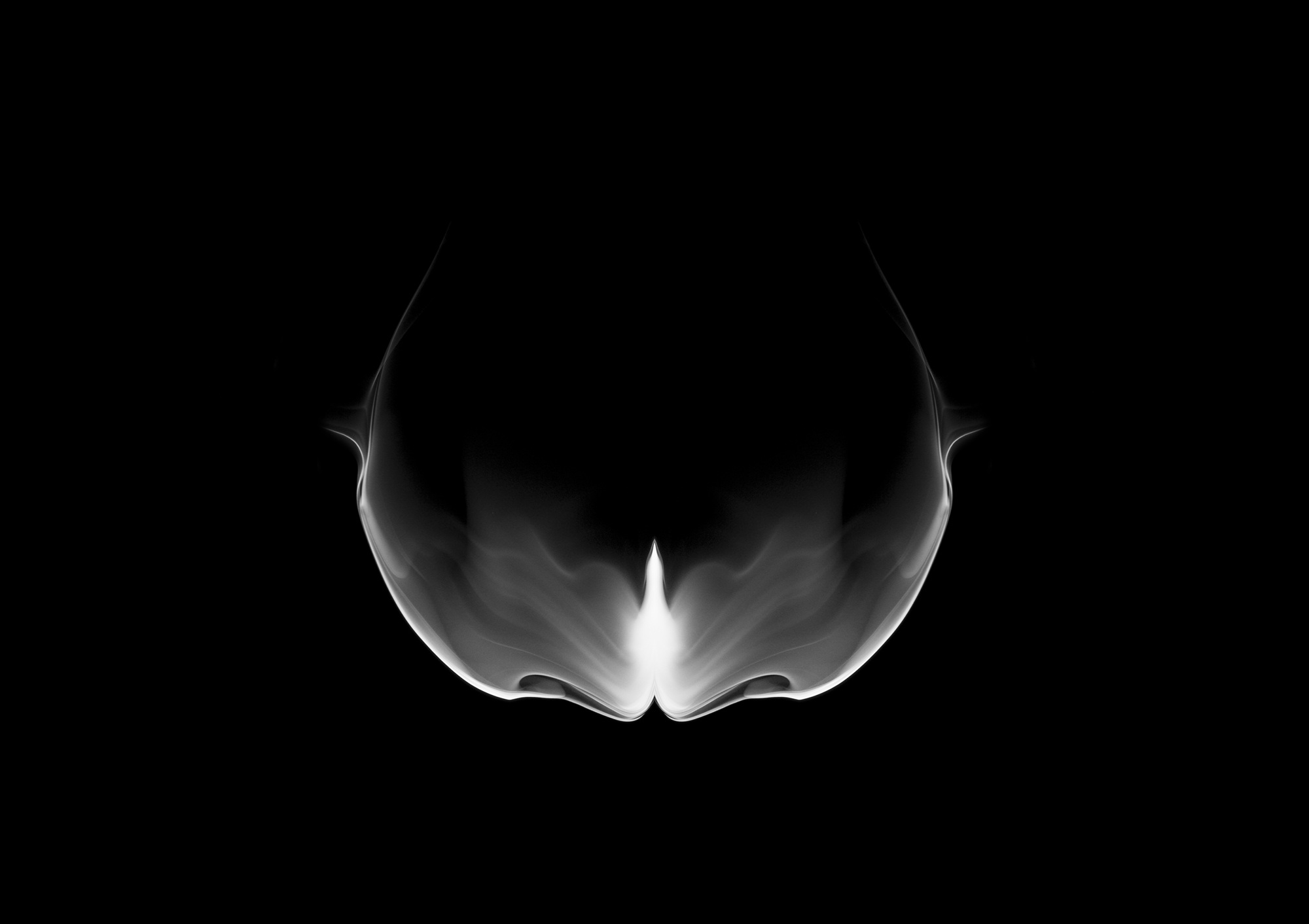 Bud02, 85x60cm, Ultrachrome Archival Pigment Print, 2014