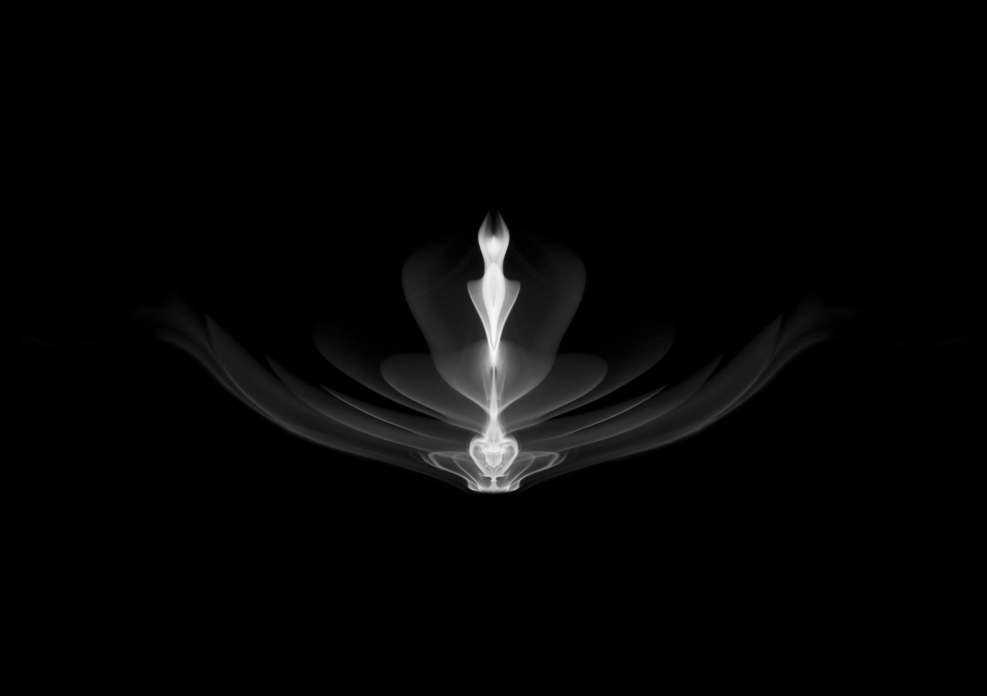 Bud11, 85x60cm, Ultrachrome Archival Pigment Print, 2014