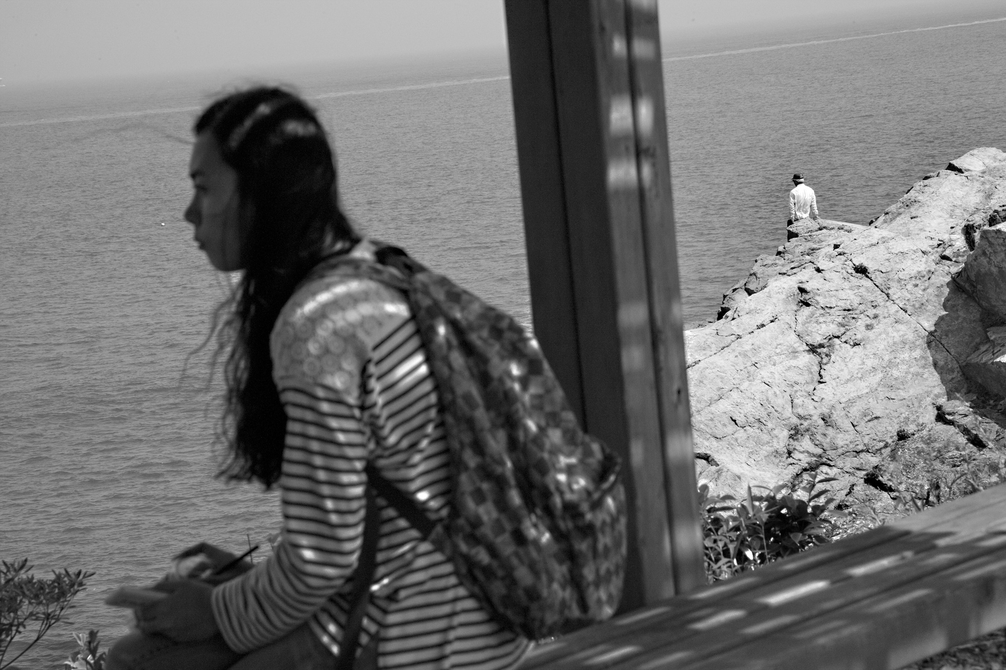 Tajongdae_ Camellia_ 2010_ Isao Yukisada