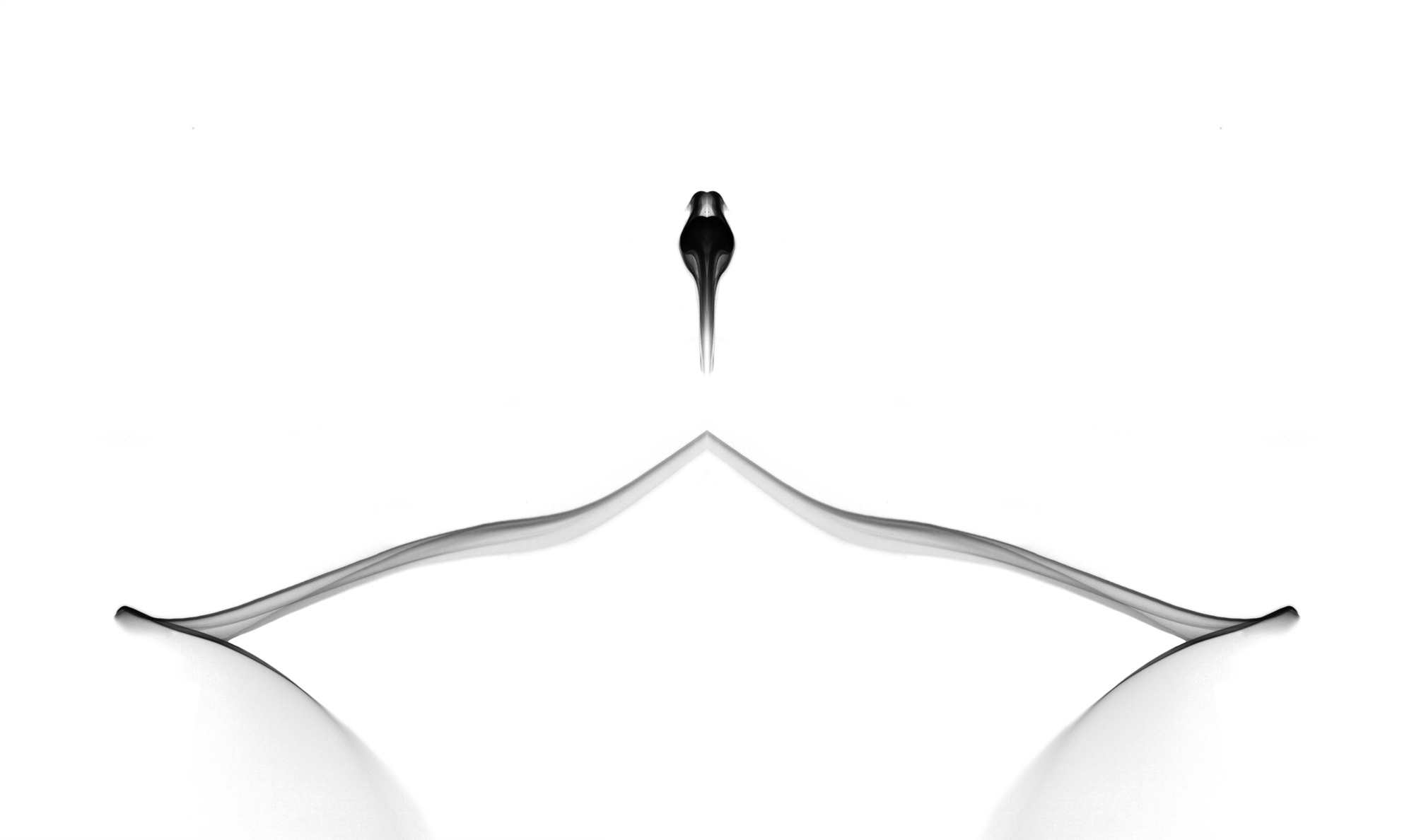 female16, 120x85cm, Ultrachrome Archival Pigment Print, 2014