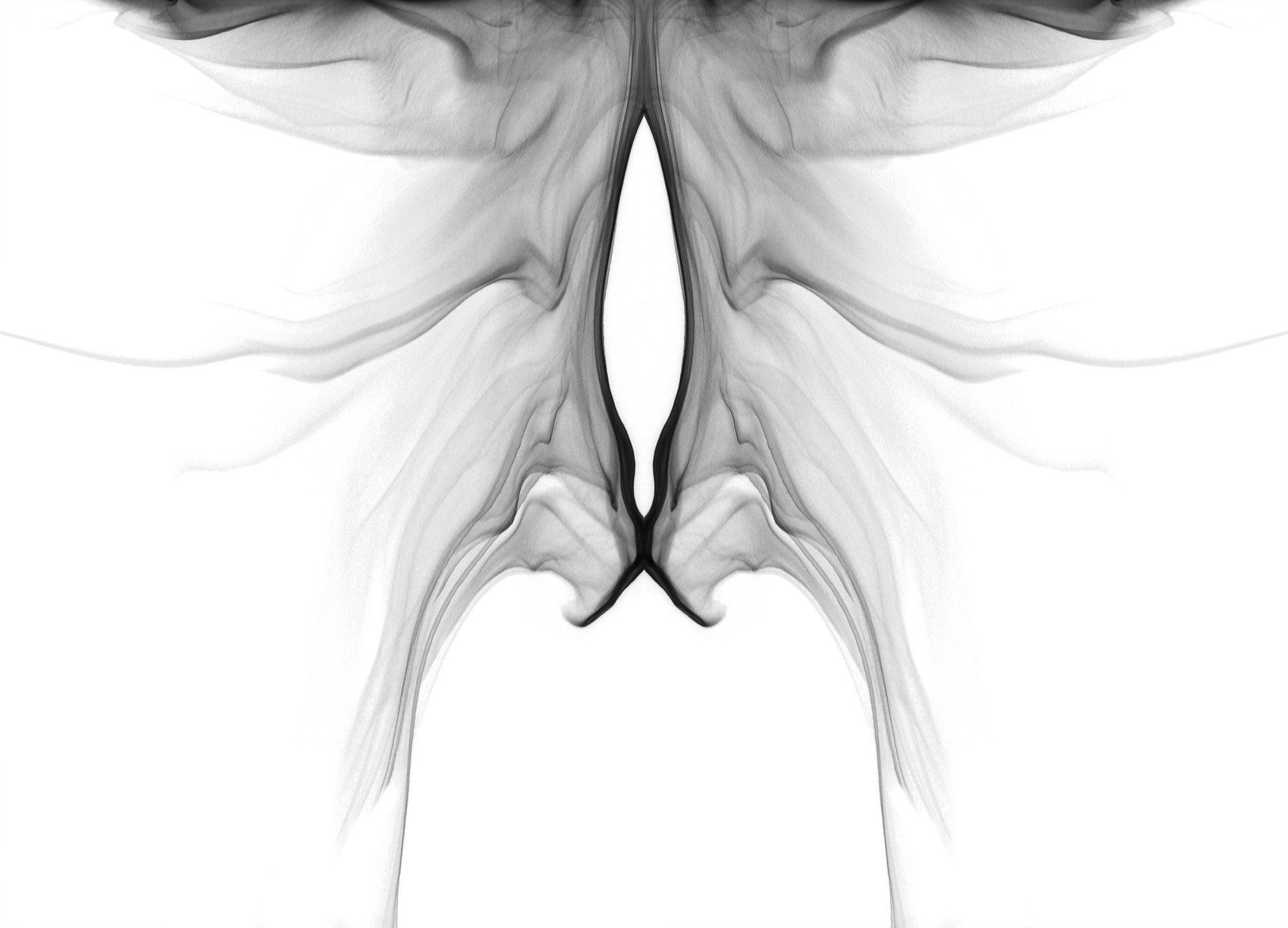 female19, 120x85cm, Ultrachrome Archival Pigment Print, 2014