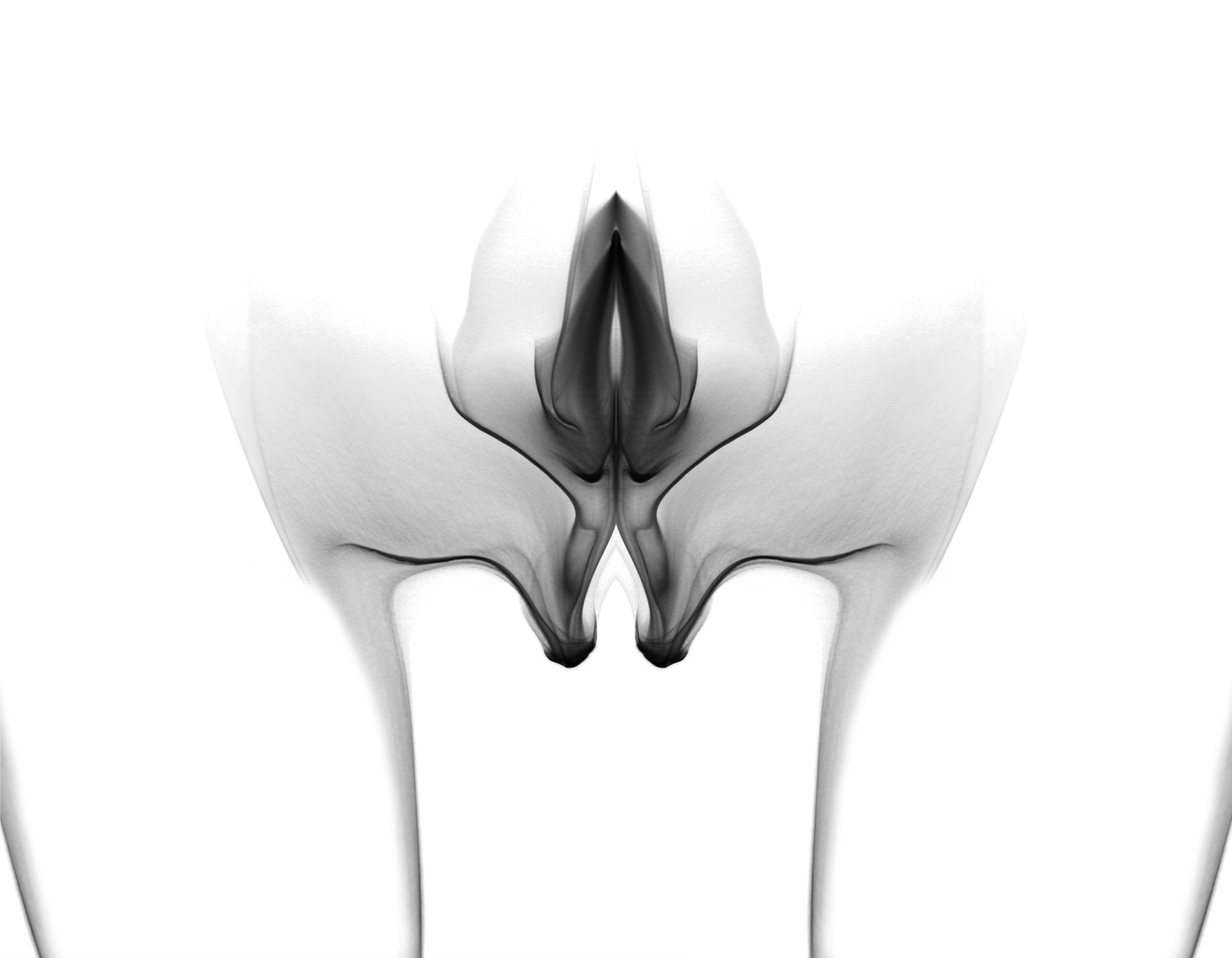 female20, 120x85cm, Ultrachrome Archival Pigment Print, 2014