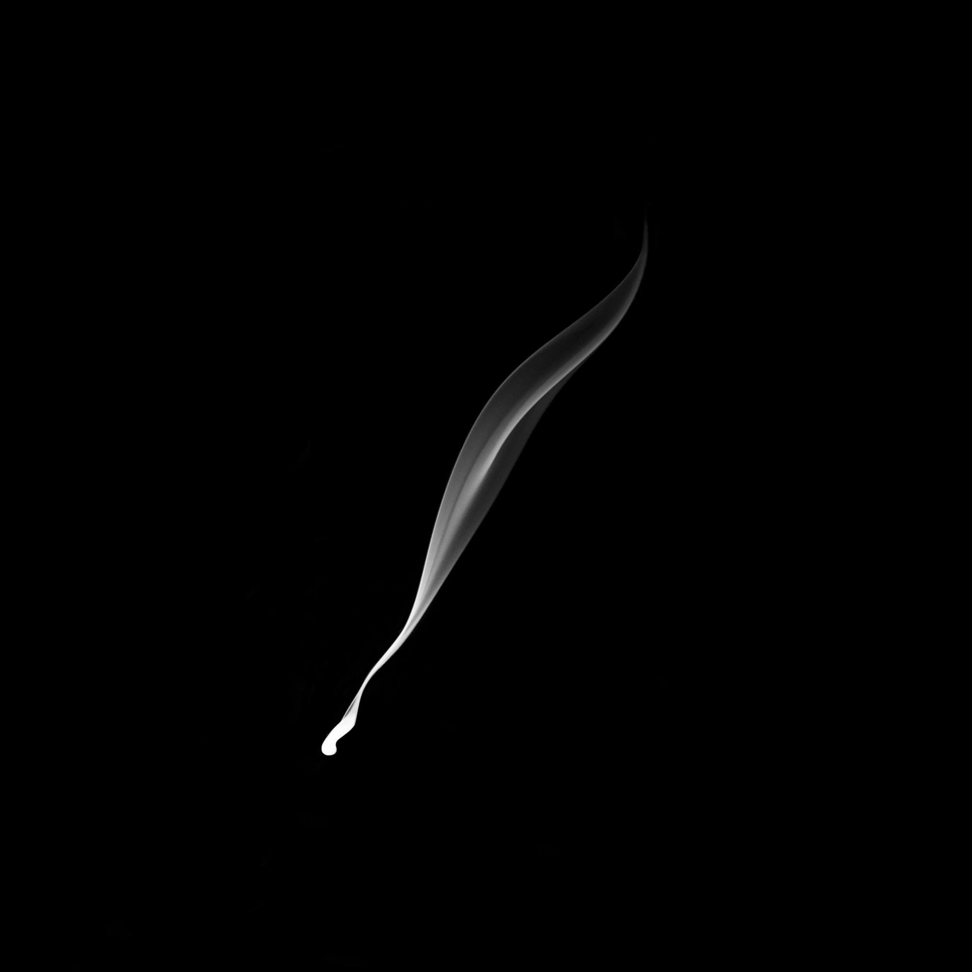 flower02, 40x40cm, Ultrachrome Archival Pigment Print, 2014