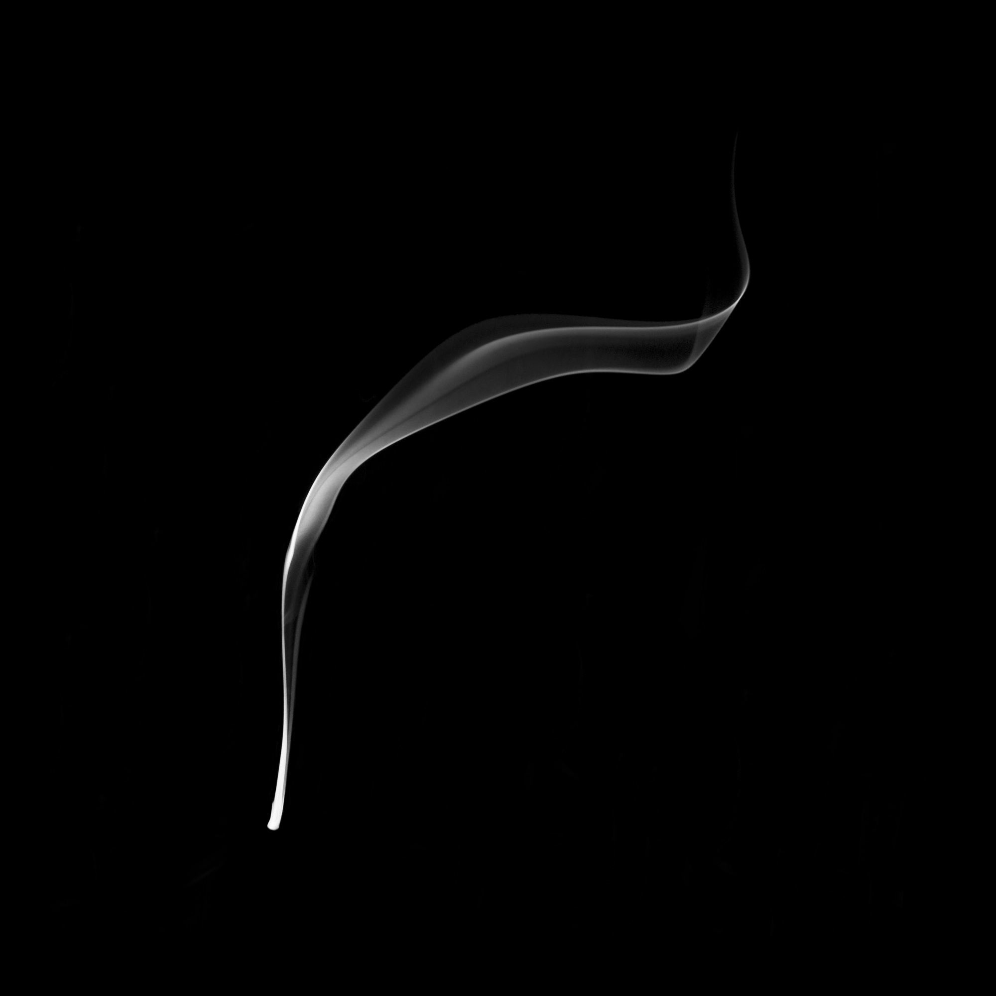 flower06, 40x40cm, Ultrachrome Archival Pigment Print, 2014