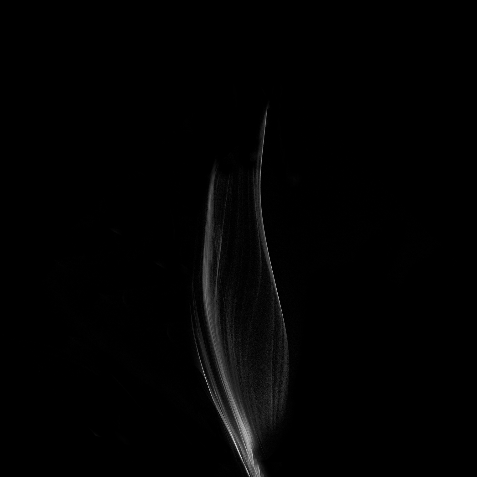 flower11, 40x40cm, Ultrachrome Archival Pigment Print, 2013