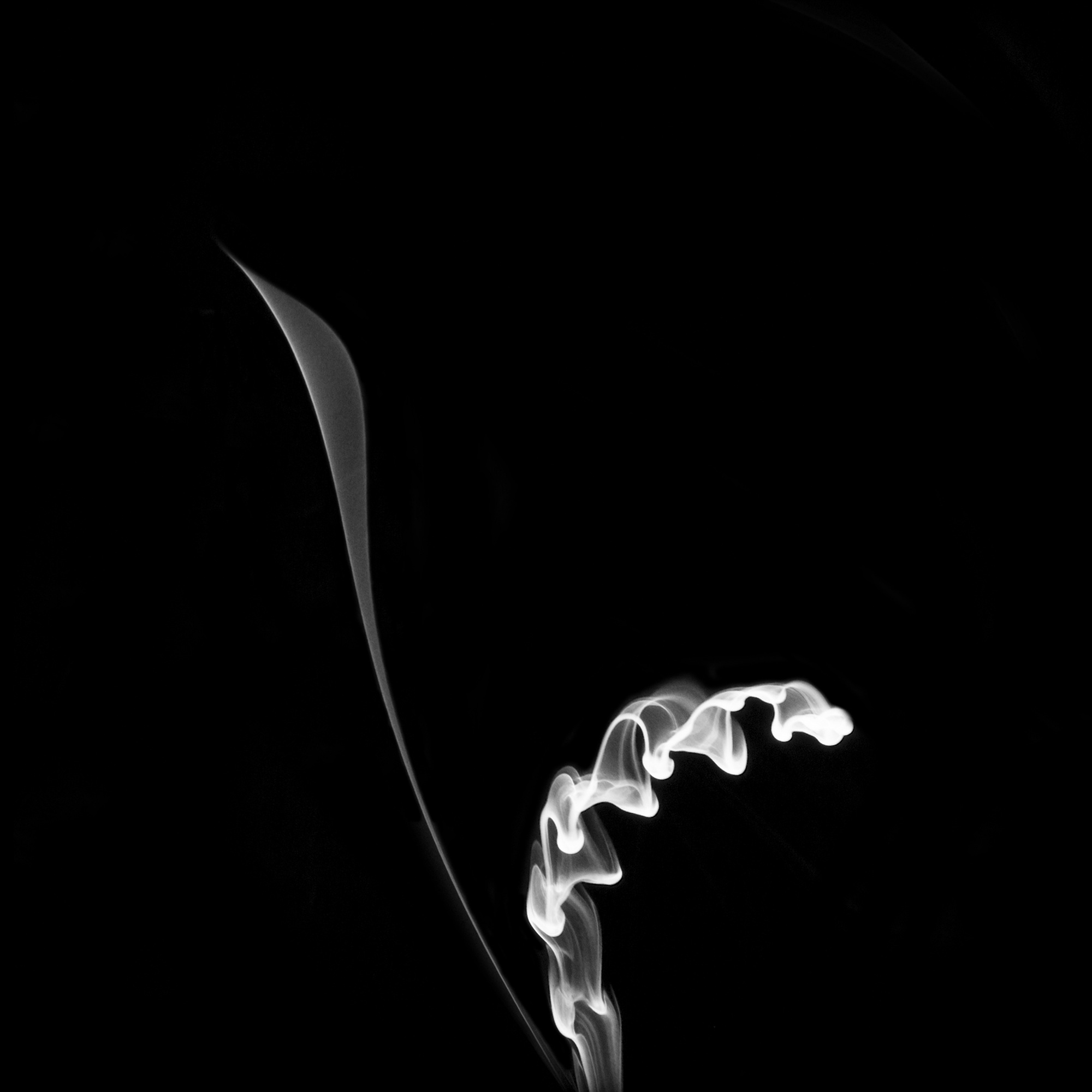 flower20, 40x40cm, Ultrachrome Archival Pigment Print, 2013