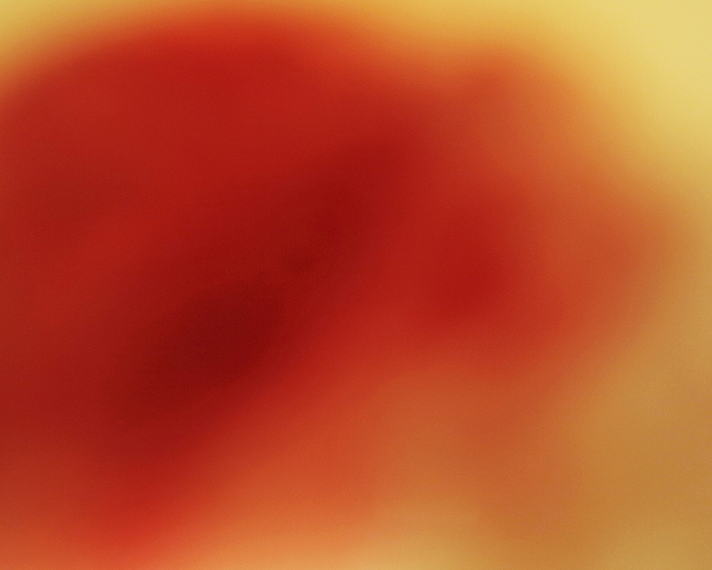 그리고 남겨진 것들 And Things left-series2, #8, Pigment print, 17.7x12.7cm, 2012