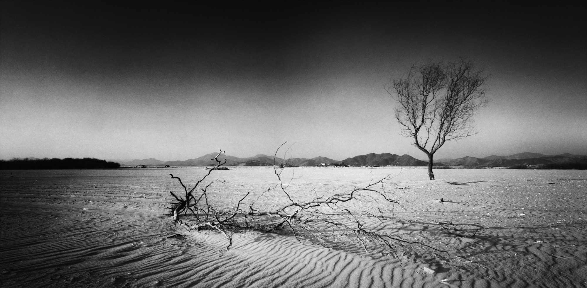 낙동강-경남 김해시 한림면 #01 Gelatin Silver Print  60x120cm 2011