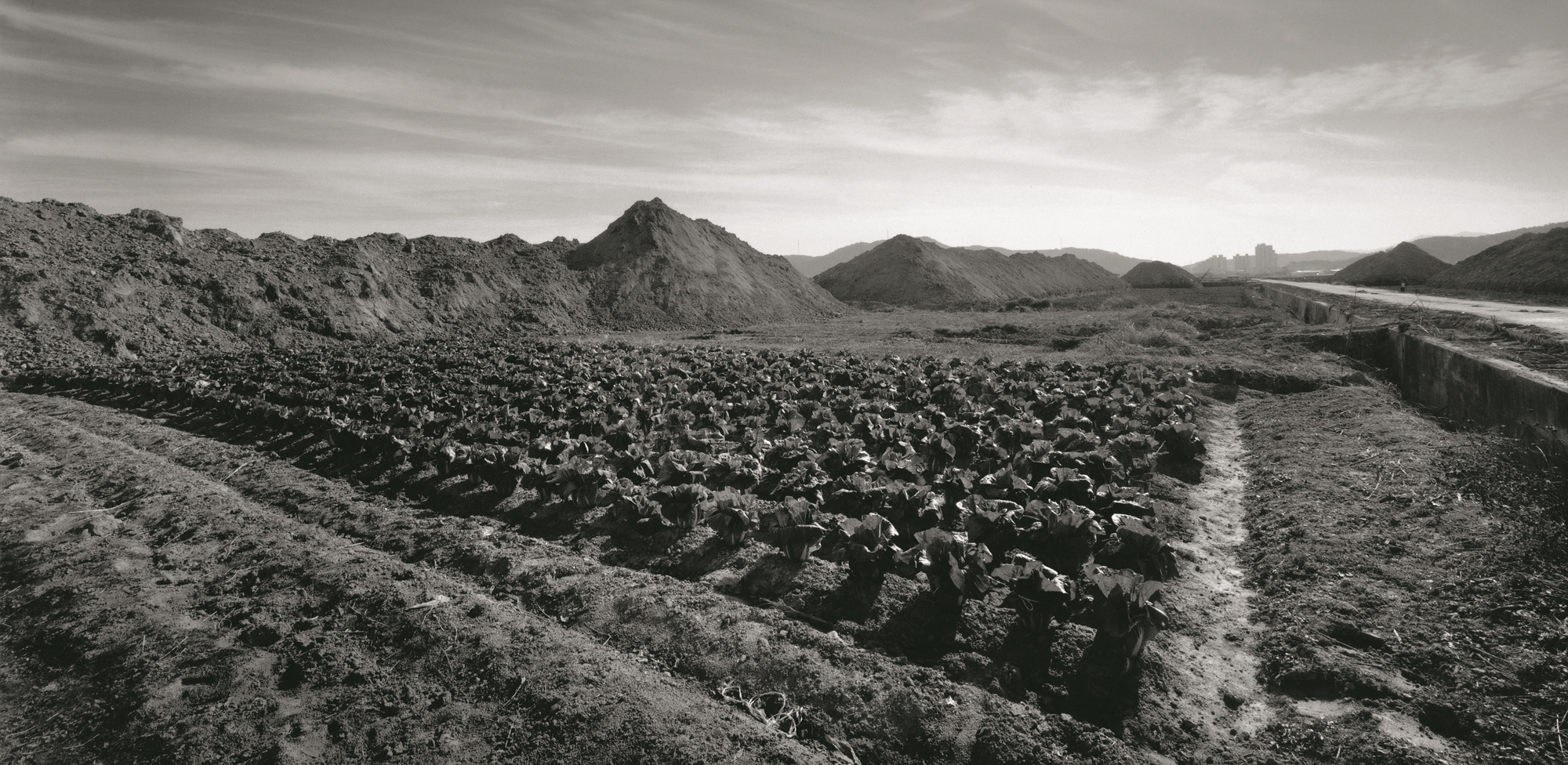 낙동강-경북 구미시 고아읍 Gelatin Silver Print 60x120cm 2011