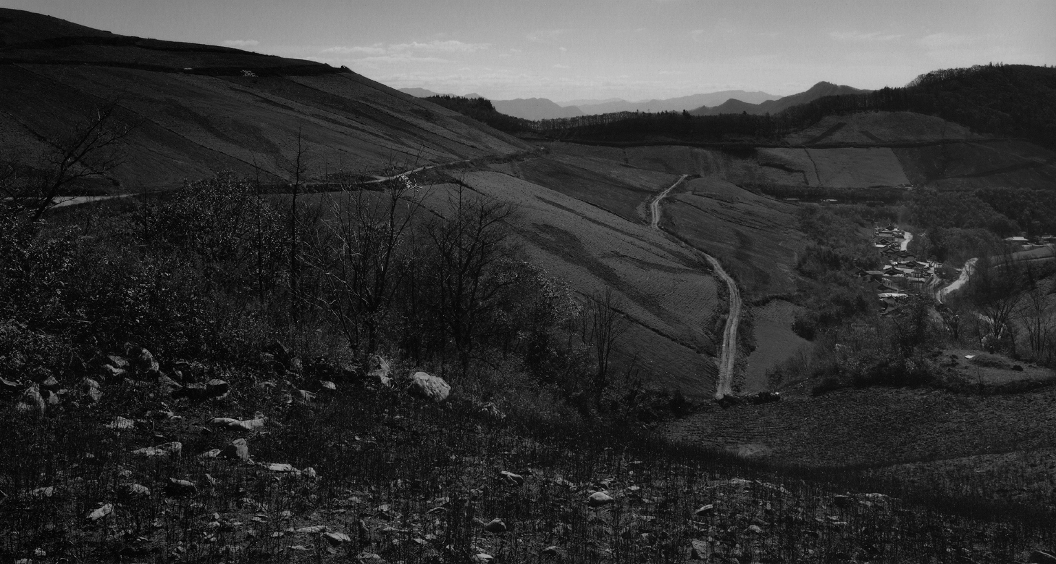 백두대간- 덕항산 #05,S Korea,1998