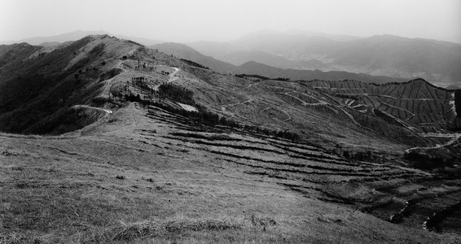 백두대간-봉화산 #20,S Korea,1999