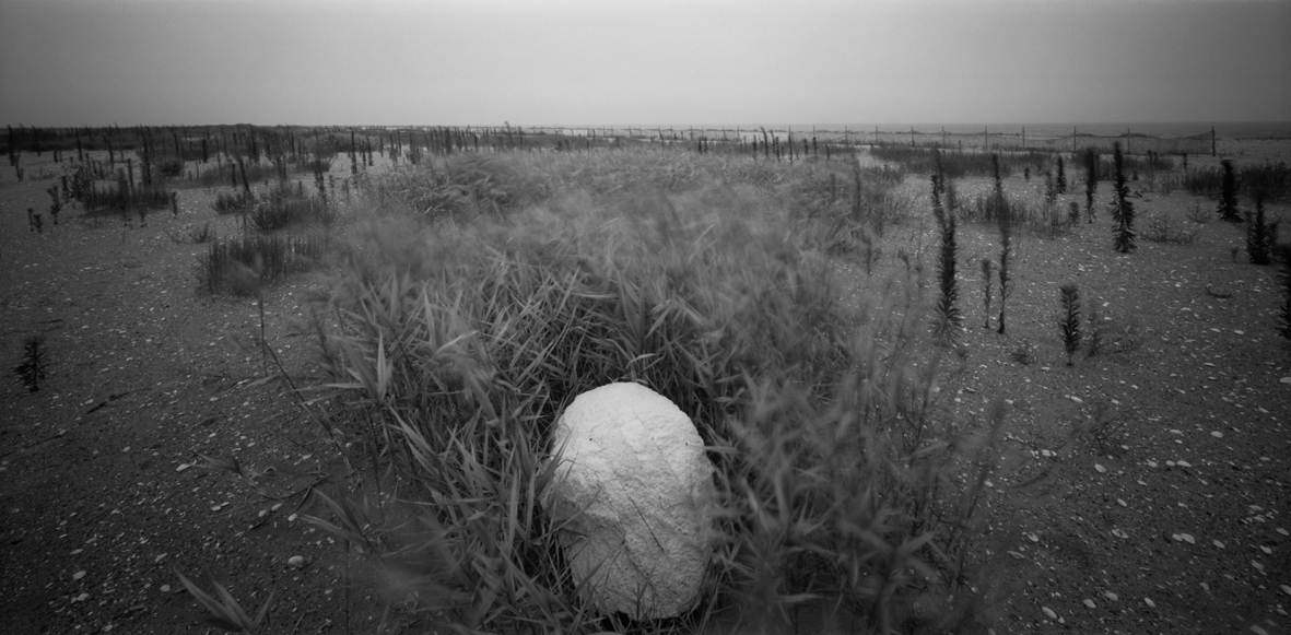 서해안-새만금 군산시 옥서면 01,S. Korea,2008