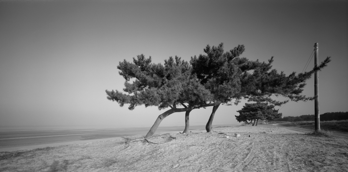 서해안-태안군 남면 청포대,S. Korea,2008